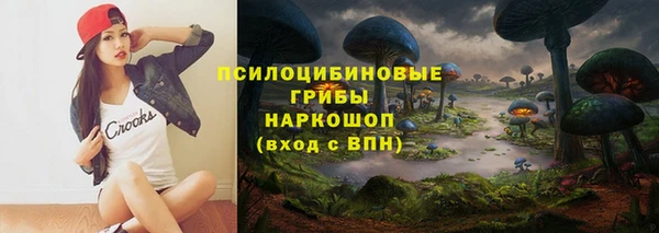 дмт Богданович