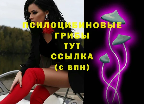 синтетический гашиш Богородицк