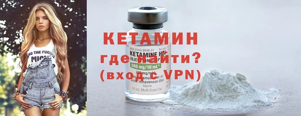 дмт Богданович