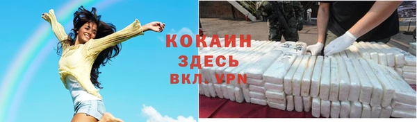 прущие грибы Богородск