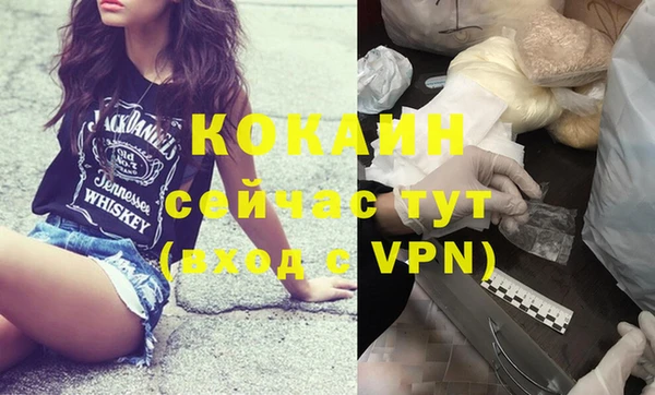 дмт Богданович