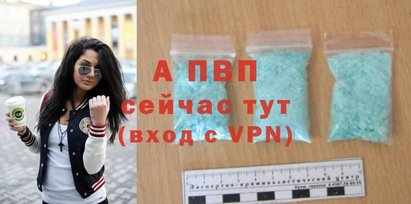 прущие грибы Богородск